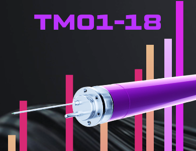 High-temperature Downhole Measuring System TM01-18